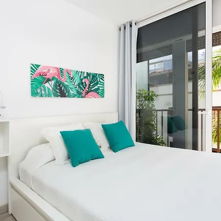 Monkey House Apartament